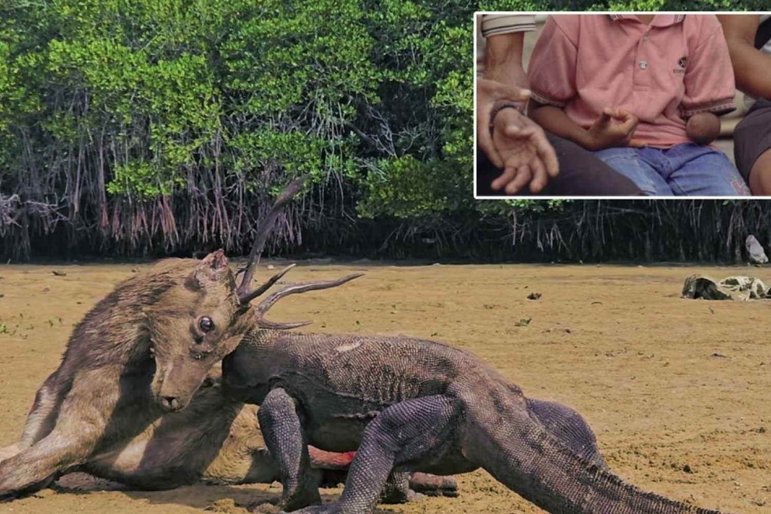 Komodo Ejderi Saldırısı: Türk Belgesel Ekibi Kolunu Kaybeden Küçük Çocuğu Türkiye'ye Getirmek İstiyor