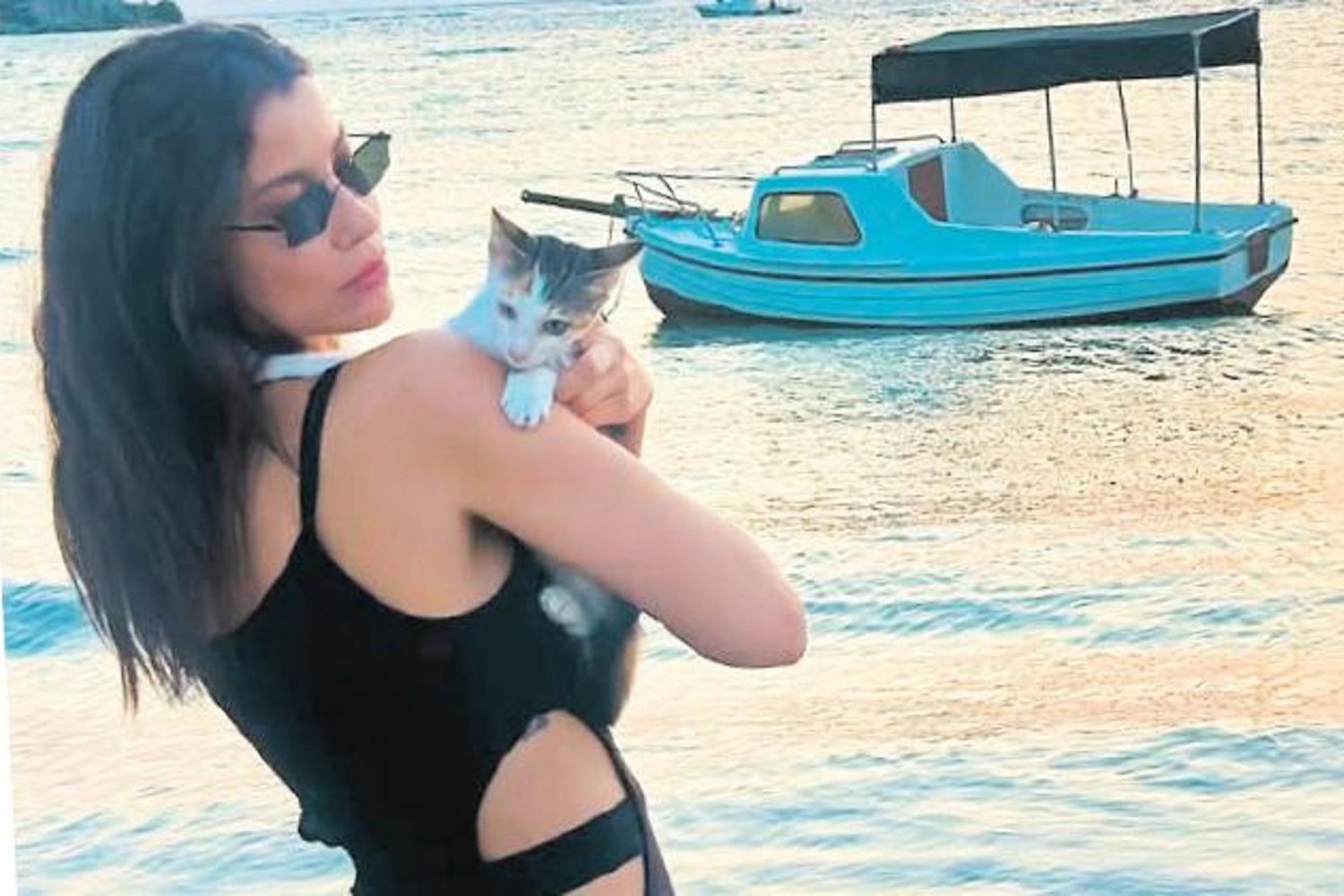 Kedi Şikayetlerine İnat Komşudan Destek! İlginç Olaylar