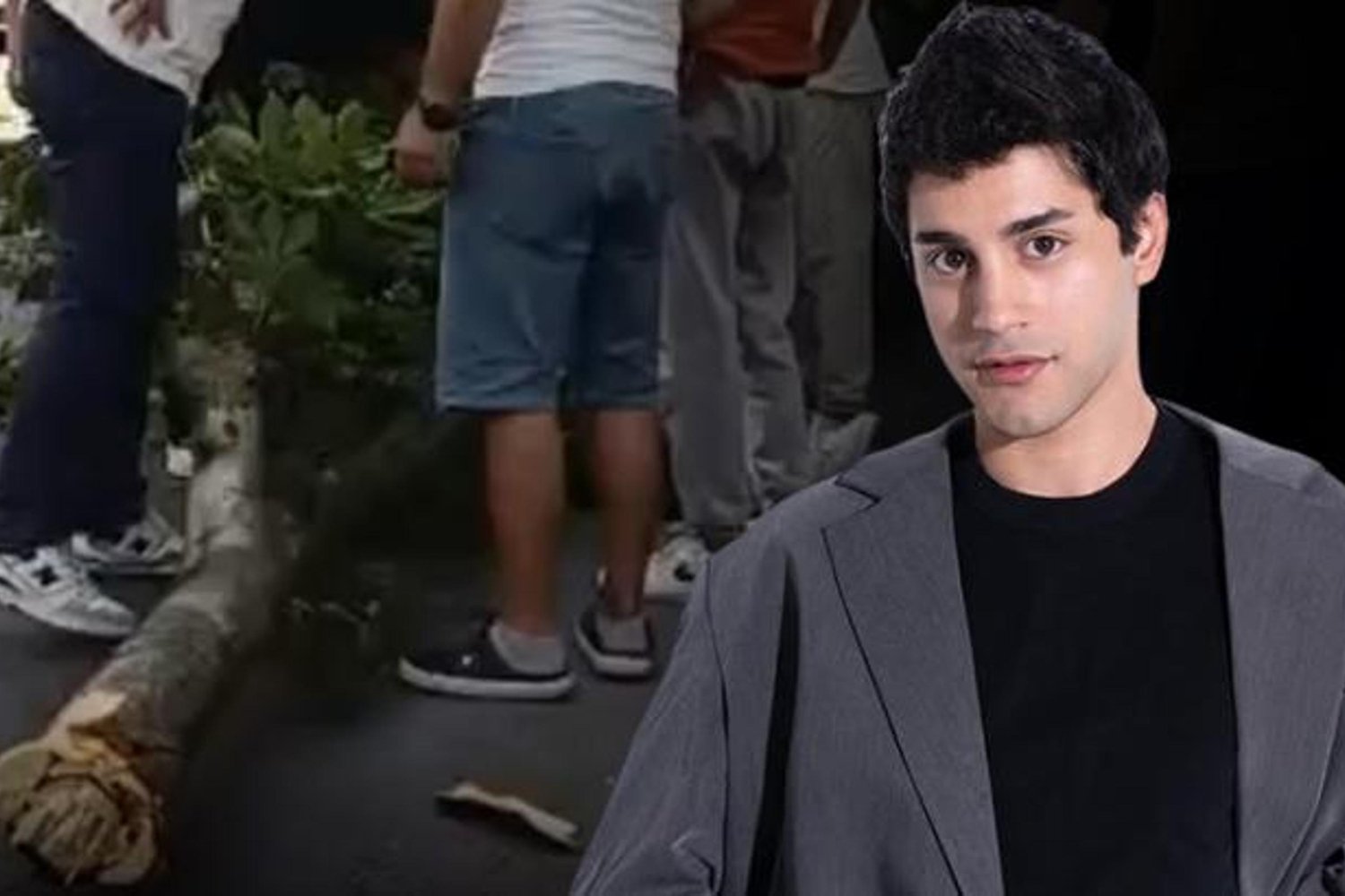 Kartal'da Şiddetli Rüzgarın Devrildiği Ağaç, Tiyatro Oyuncusunu Ağır Yaraladı