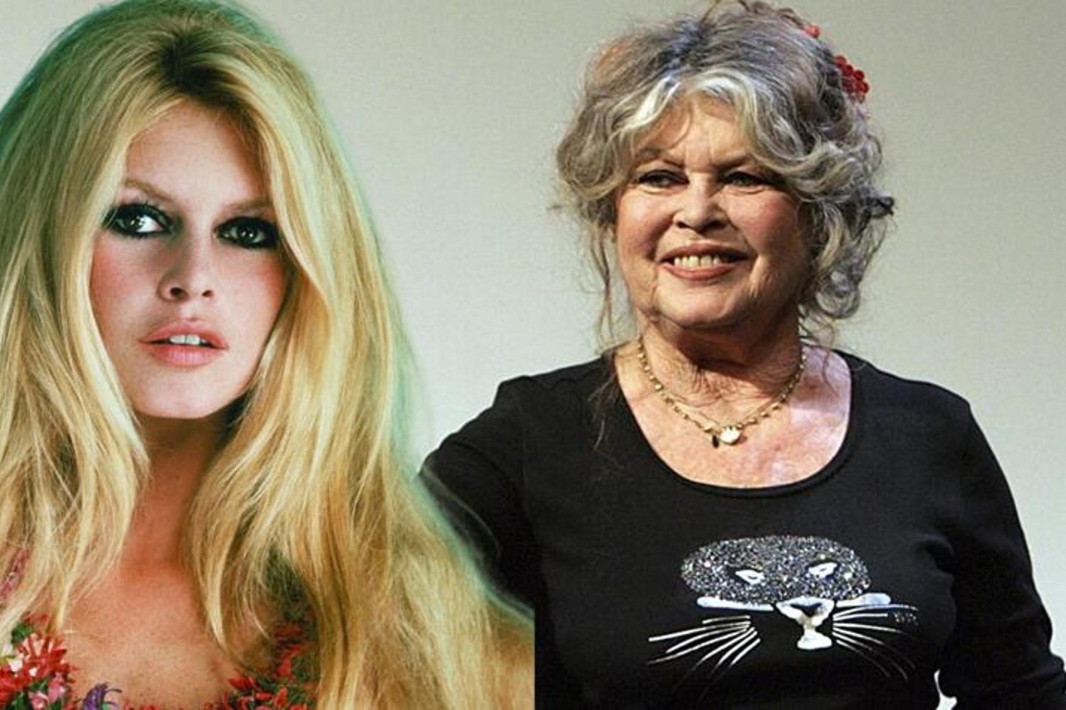 Brigitte Bardot hastanede: Ünlü İkon yaklaşık üç hafta sağlık durumu nedeniyle tedavi altında