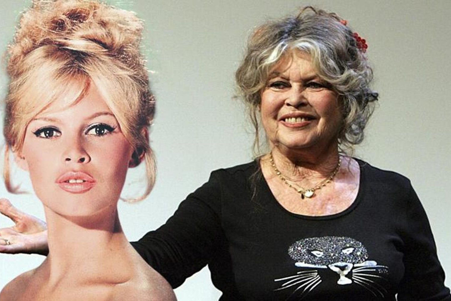 Brigitte Bardot'dan Sosyal Medyada Şok İddialara Sert Yanıt