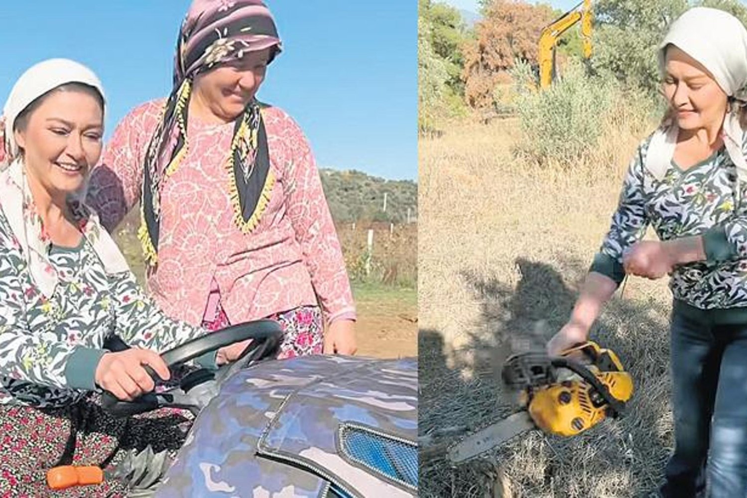 Yeşilçay'ın Doğa Tutkusu: Traktör, Elektrikli Testere ve Zeytin Hasadıyla Gündemde