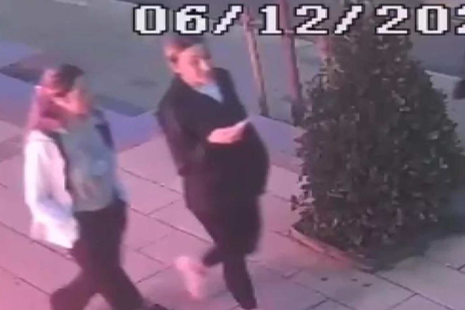 Yalova'da Ünlü Şarkıcı Güllü Feci Şekilde Can verdi