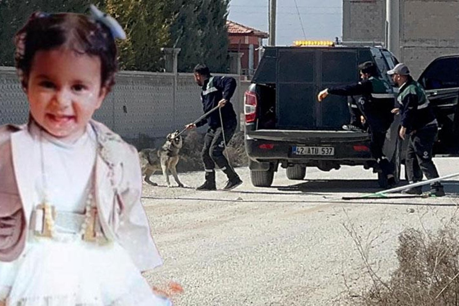 Konya'da 2 Yaşındaki Rana Köpek Saldırısında Hayatını Kaybetti: Sorumlular Soruşturuluyor