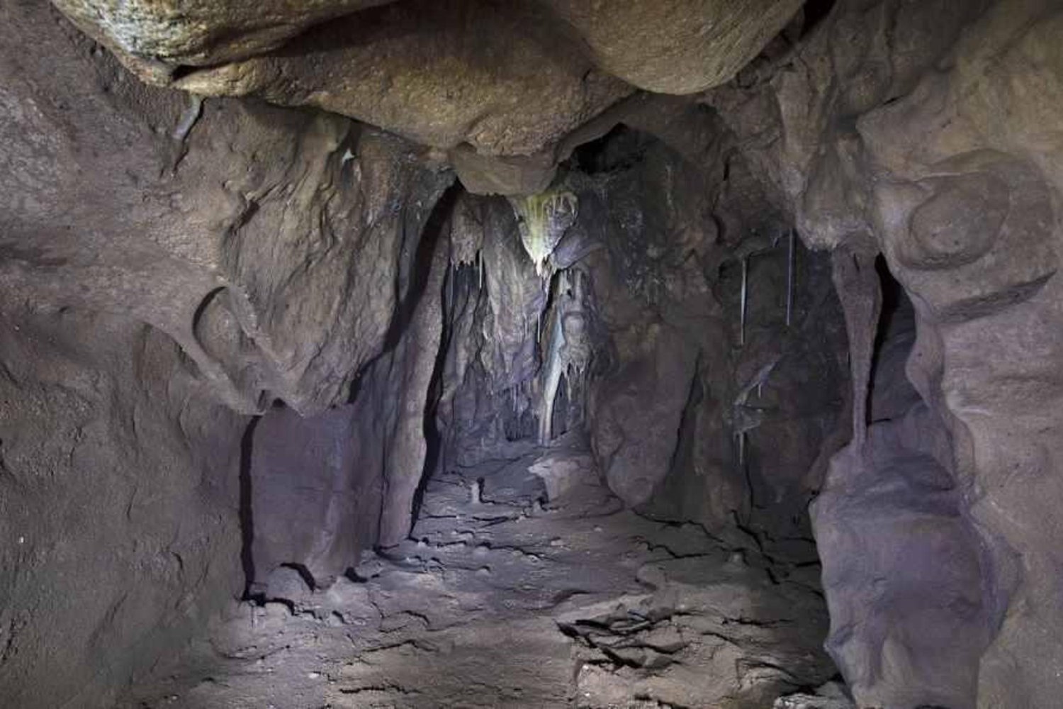 40 Bin Yıllık Gizemli Keşif: Neandertallerin Zekası ve Hayatta Kalma Stratejileri Gün yüzüne çıktı