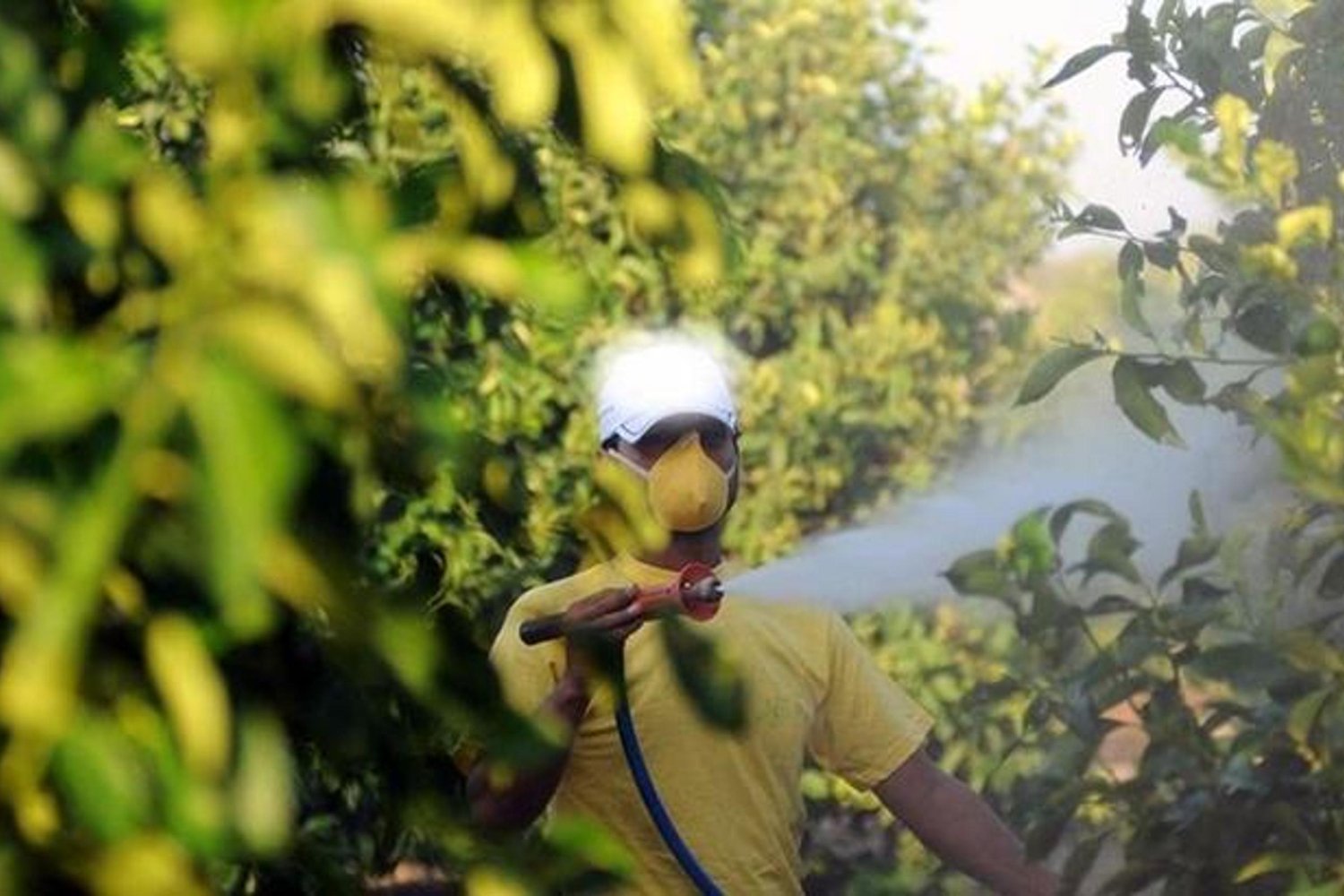 Tarımda Yeni Dönem: B-Reçete ile Pestisit Kullanımında Kontrollü Güçleniyor