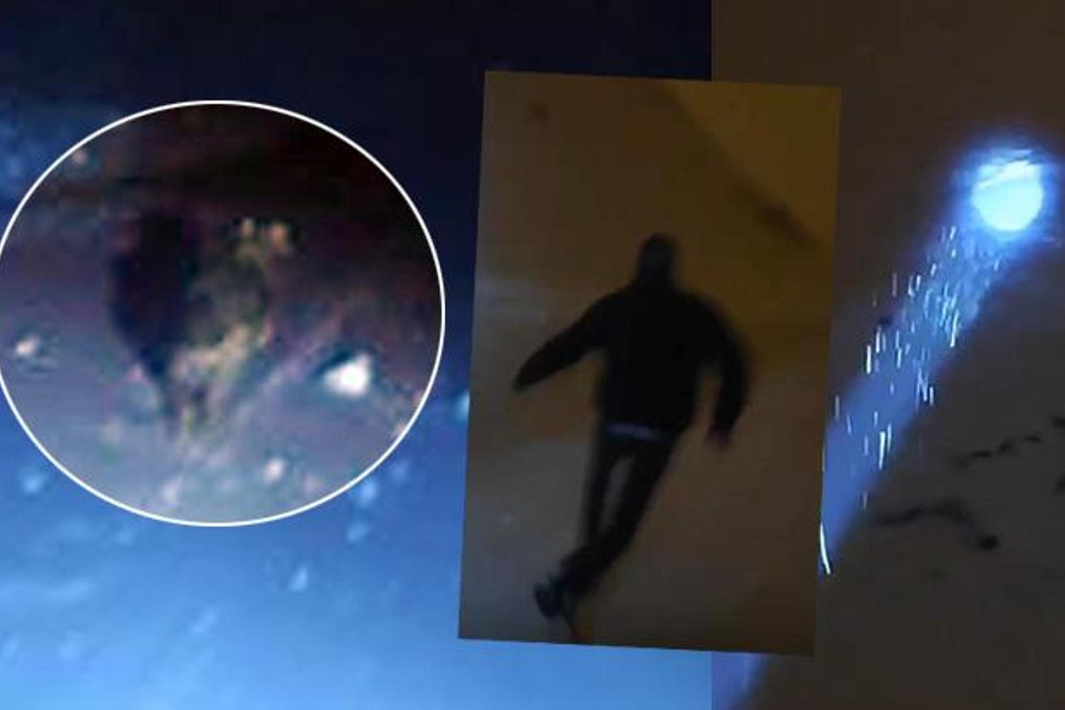 Köyde Yürekli Kurt Görüntüleri Gün Yüzüne Çıktı