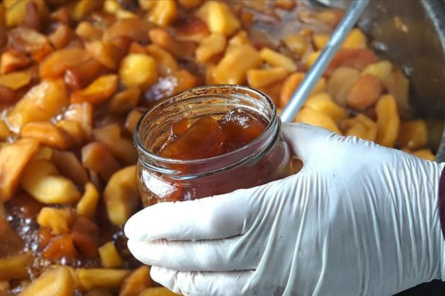 Ayvalık'ta Yerel Üretimi Destekleyen Kooperatifle Ekonomiye Katkı Sağlanıyor