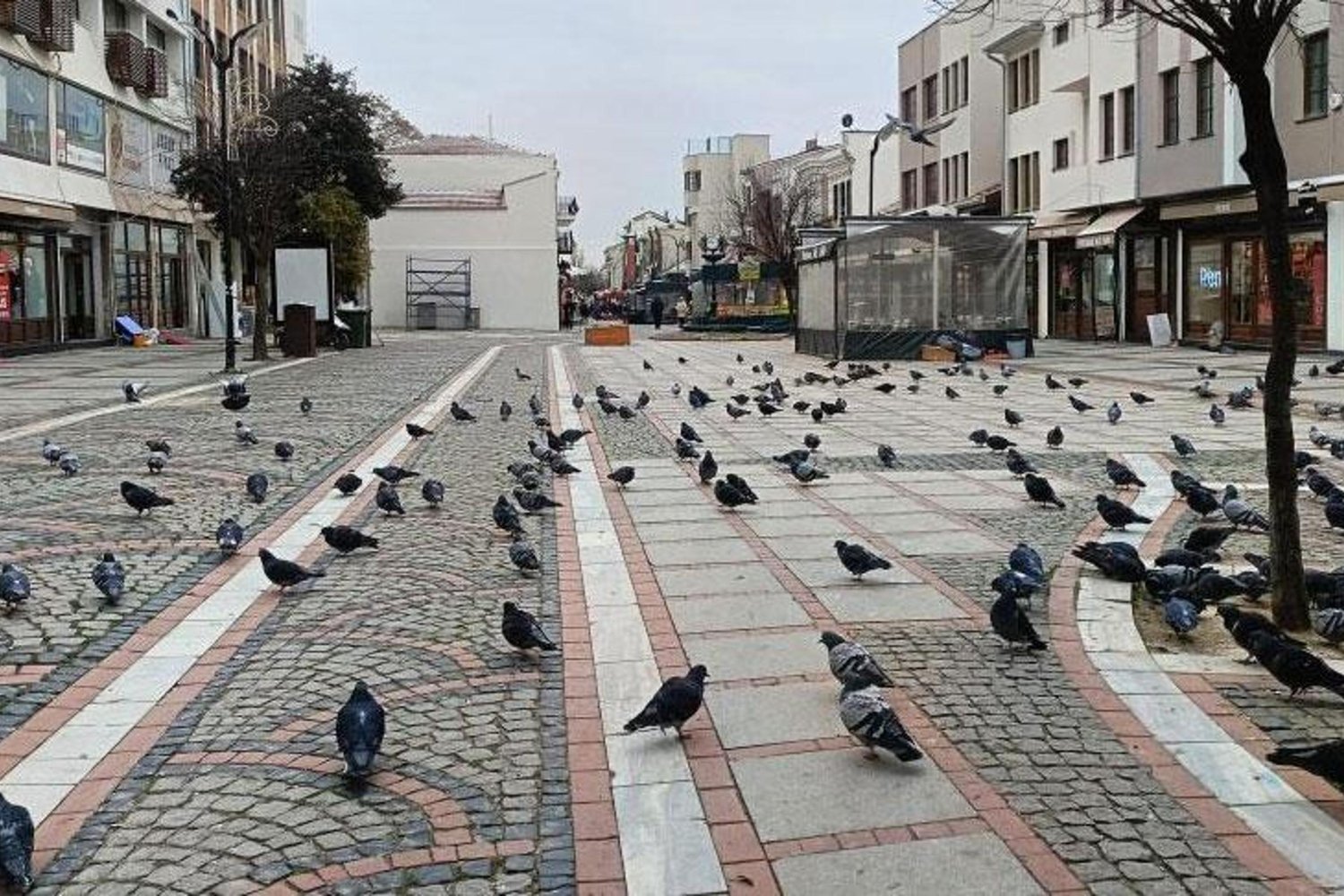 Edirne'de Hareketli Kar ve Ayaz: Sokaklar Buz ve Sessizlikle Kaplandı