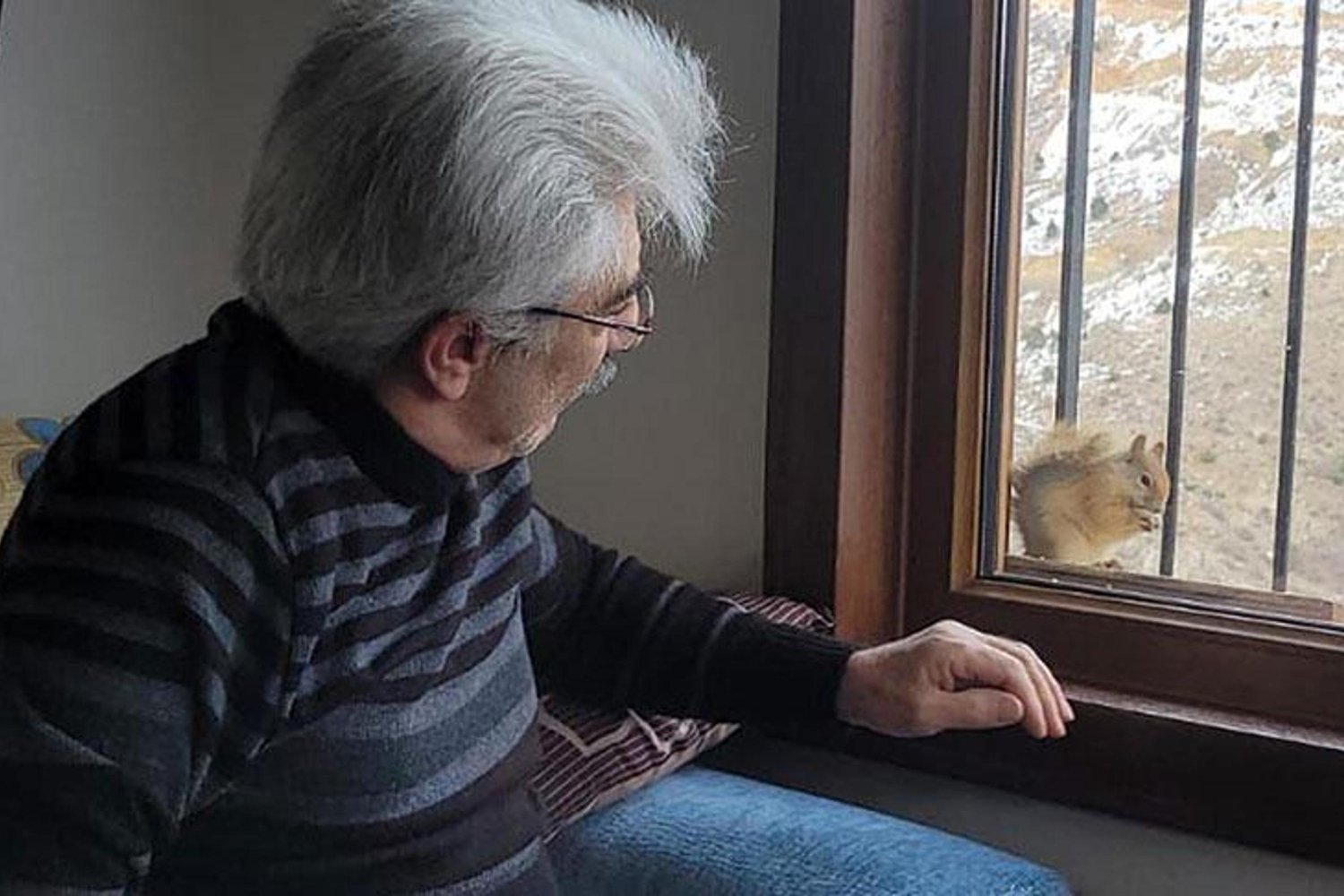 Kışın Sert Geçtiği Mahallede Bir Sincap ve İnsan Arasında Sıkı Bağlar