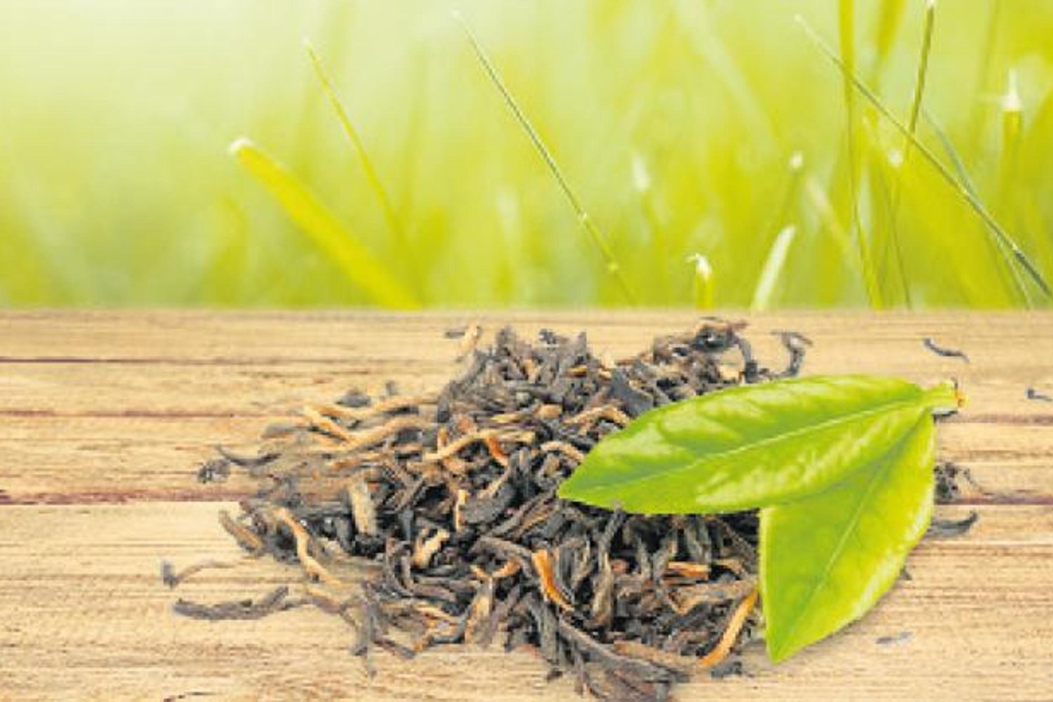 Kozmetik Pazarında Siyah Çayın Gücü: Antioksidanlar ve Büyüme Projeksiyonları