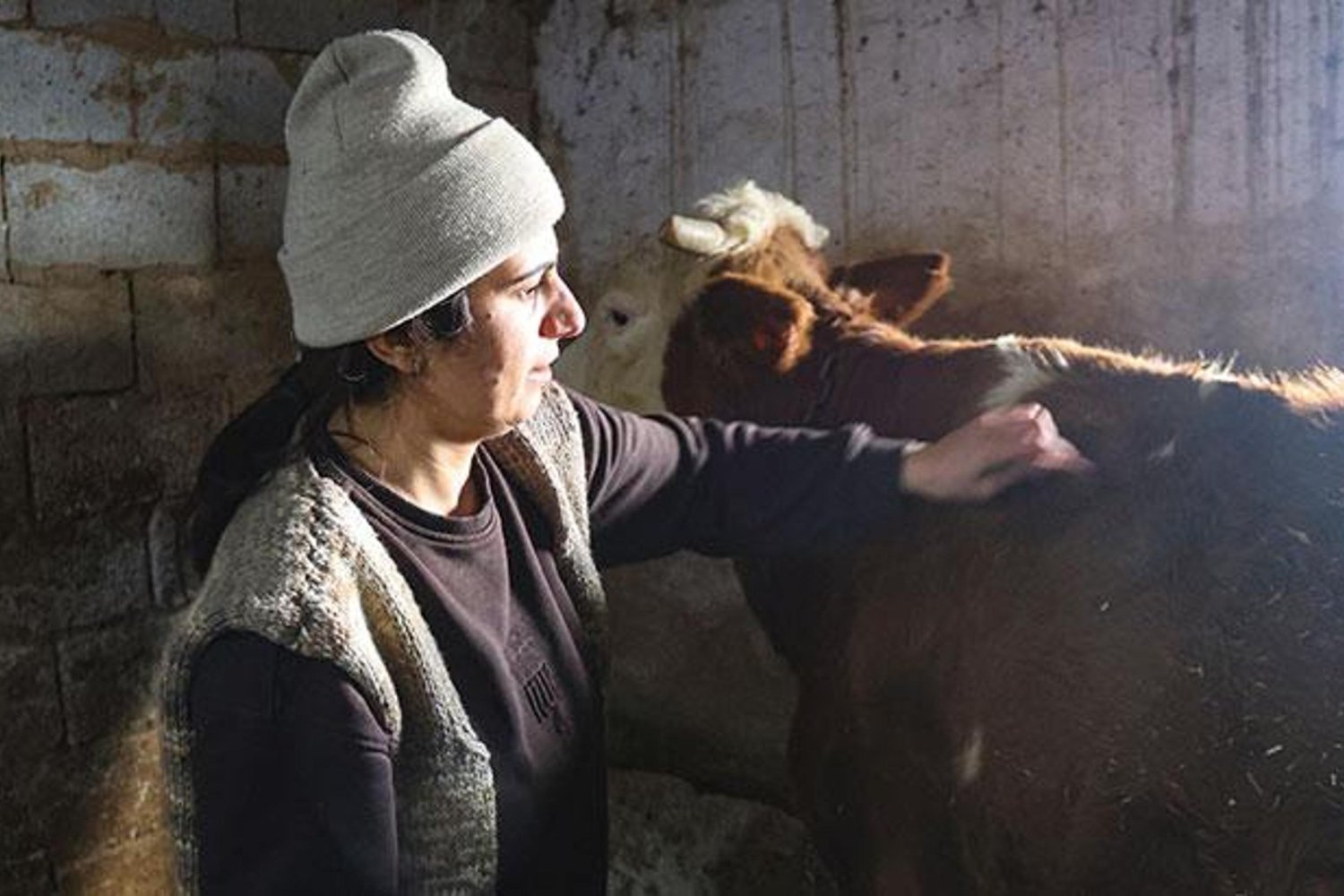 Hayvancılığa Yön Veren Kadın: Aygül Bolu'nun Başarı Hikayesi