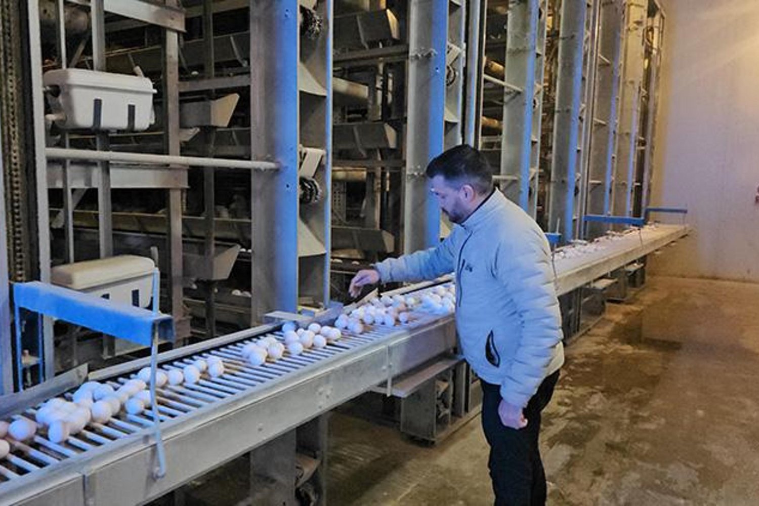 Yüksek Kapasiteli AB Standartlı Yumurta Çiftliğiyle Erzincan'da Sektörde Dev Adım