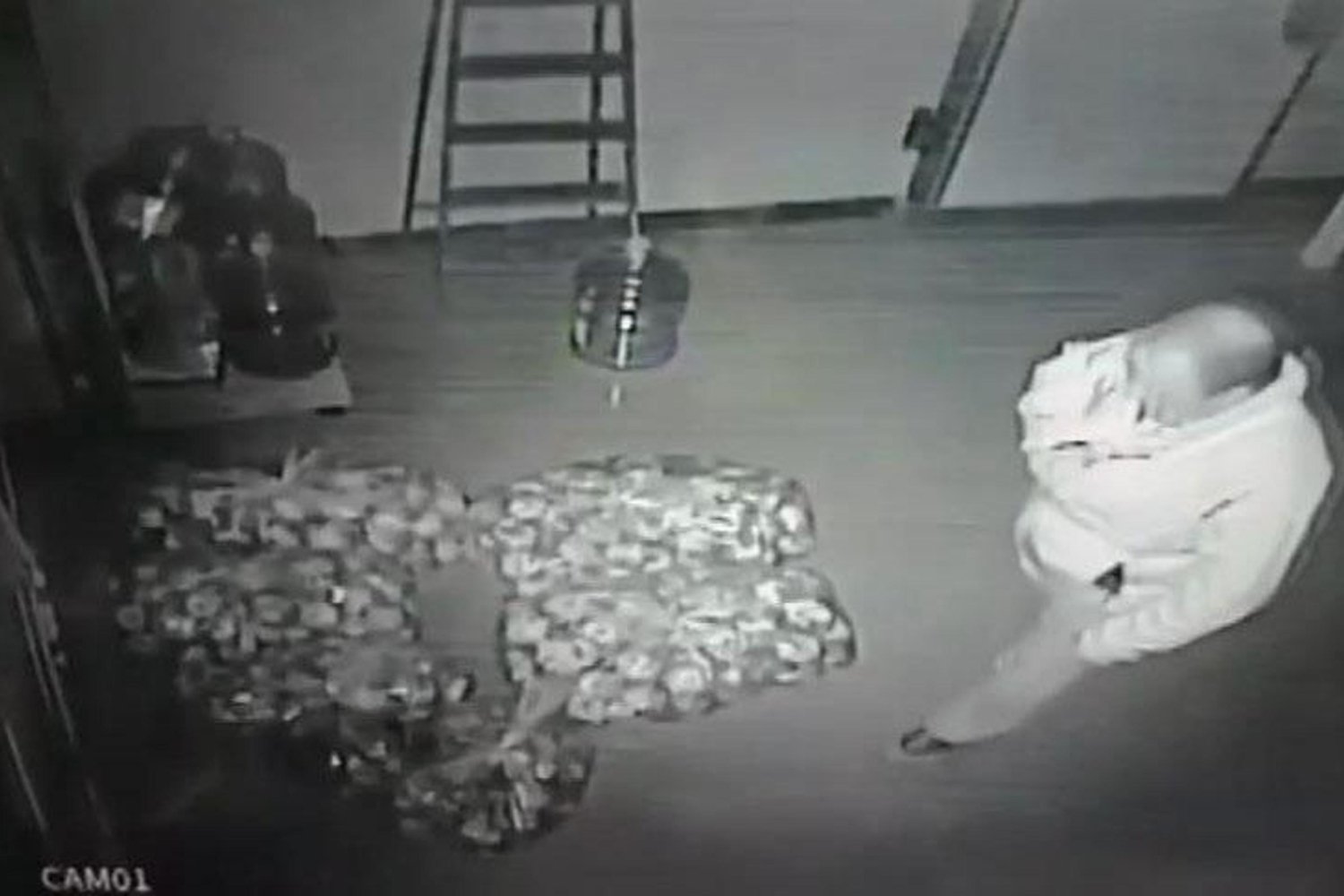 Eskişehir'de Rekabet Kıskacında Ekmek Hırsızlığı: Gizemli Yetkiliyle Okullar Güvende Değil!