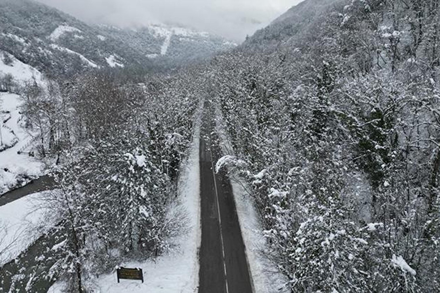 Safranbolu Ağaç Tüneli: Doğanın Büyüleyici Kucağı