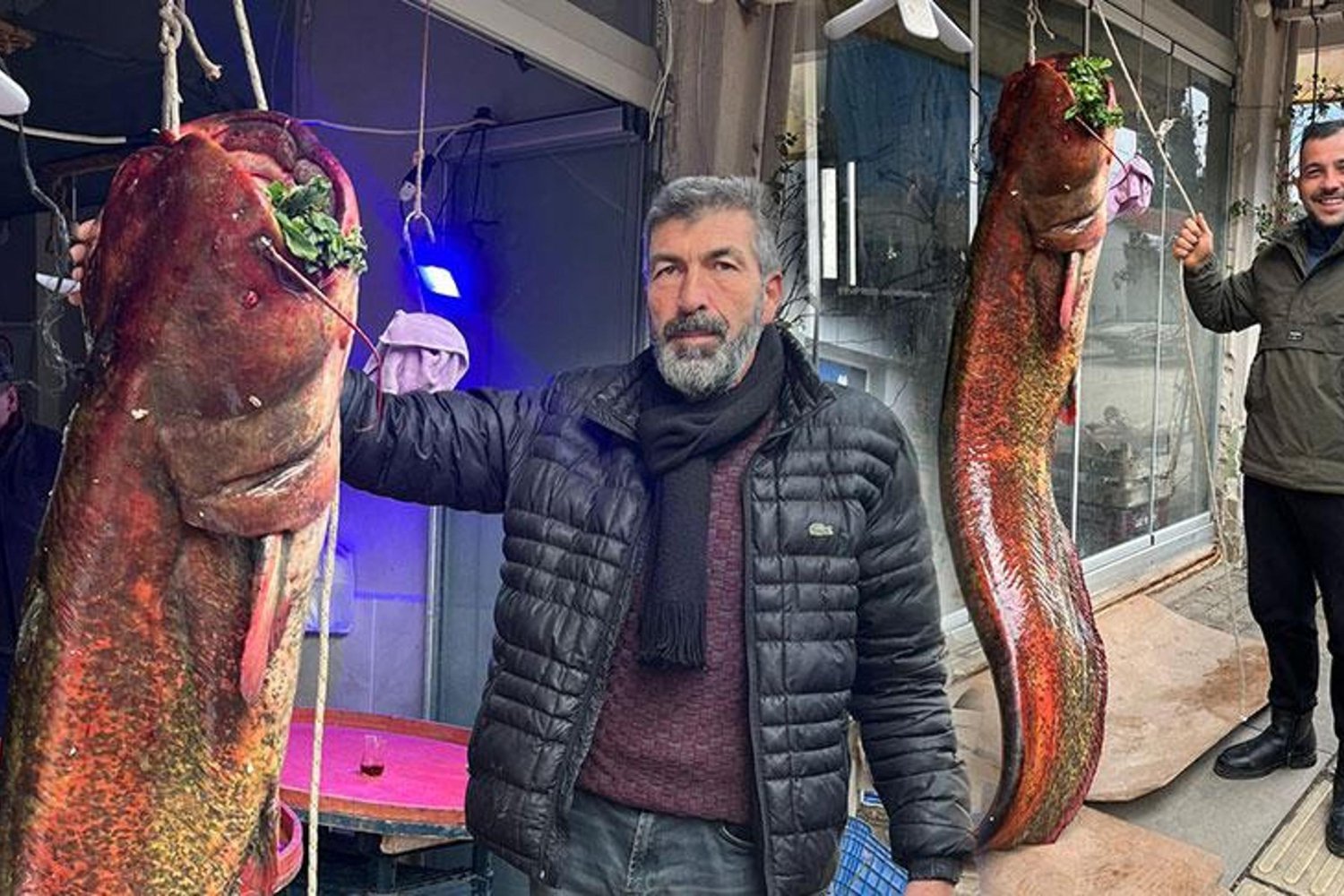 Balıkçının Ağlarına 2 Metrelik Yayın Balığı Takıldı! İşte O Anlar