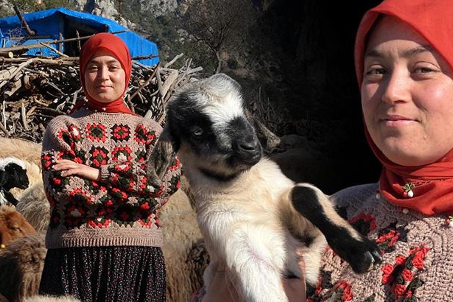 Köyde Hayvancılıkla Hayallerini Gerçeğe Dönüştüren Genç Kadın