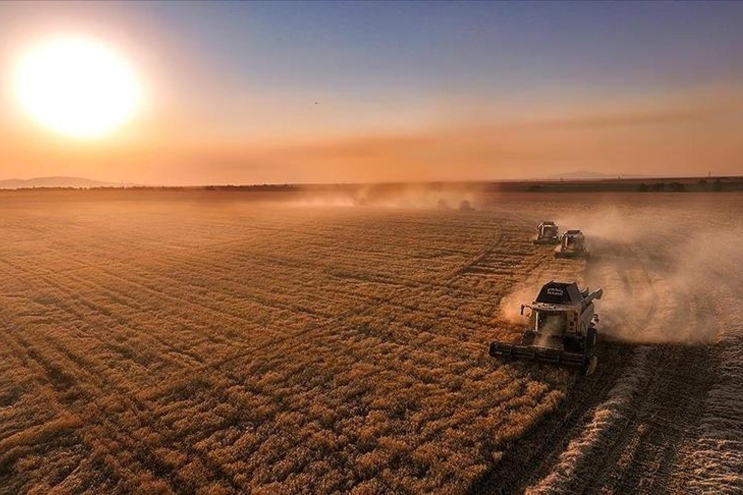 Yerli Tarım Destekleriyle 106 Bin Kişiye İstihdam Sağlandı