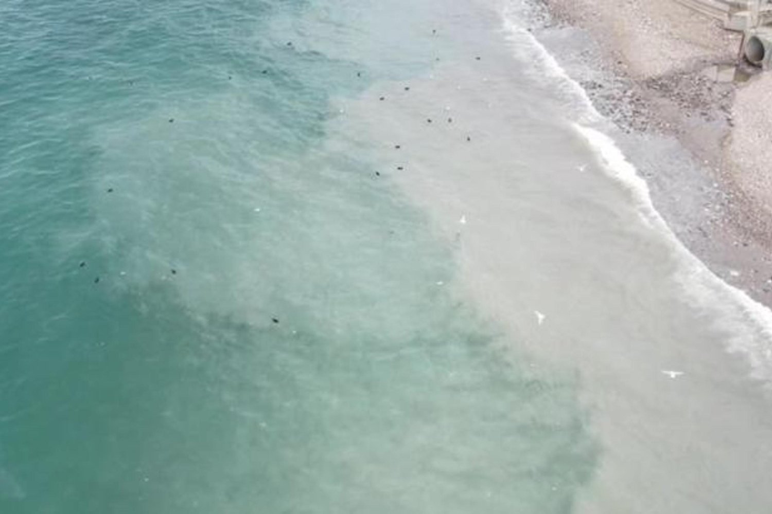 İSKİ Atık Su Kanalından Deniz Filtreleri Bozdu! Korkutan Renk Değişimi