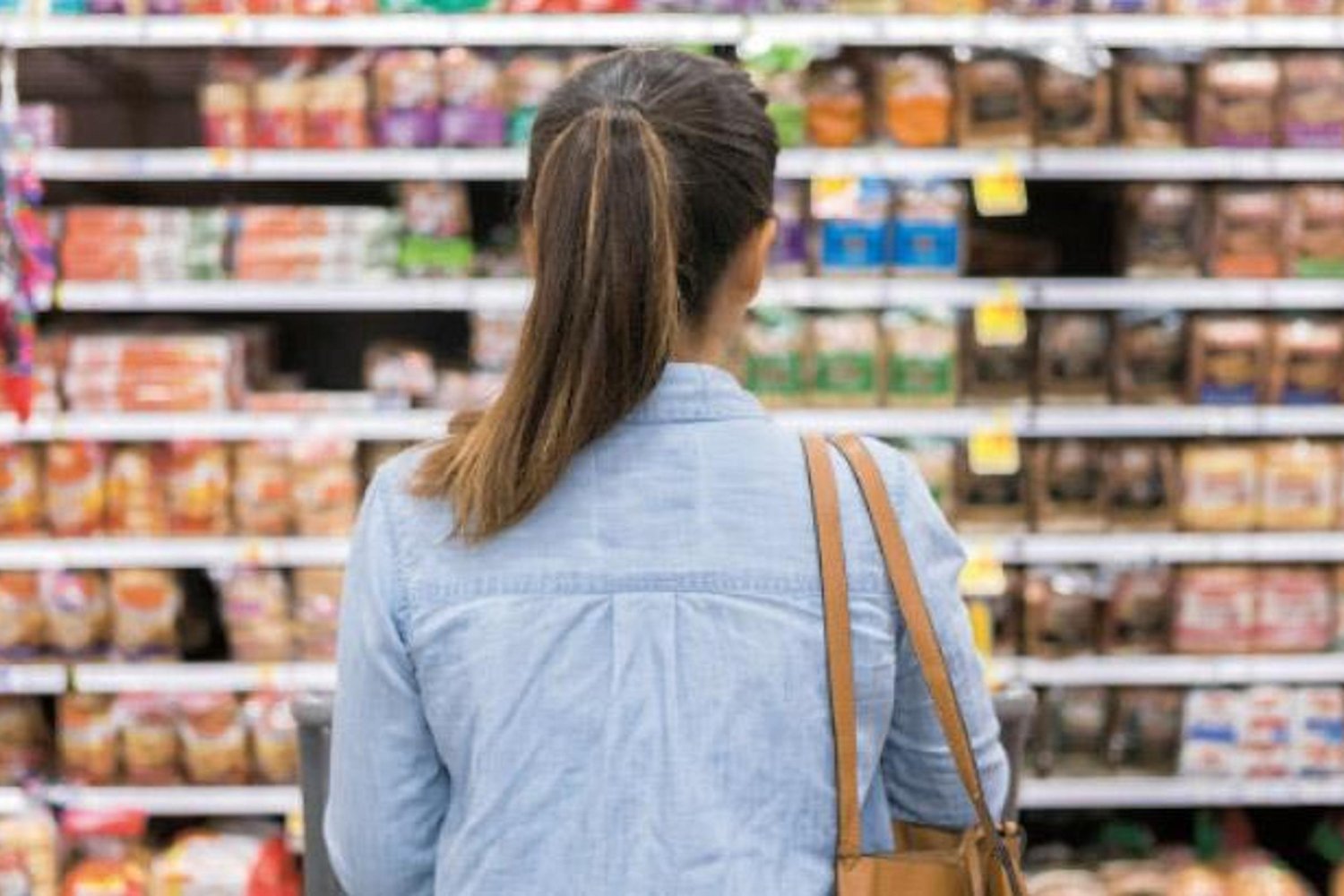 2024 Memur ve Emekli Zamları Açıklandı! Enflasyon ve yeni oranlarla maaşlar yüzde 18,61 artacak