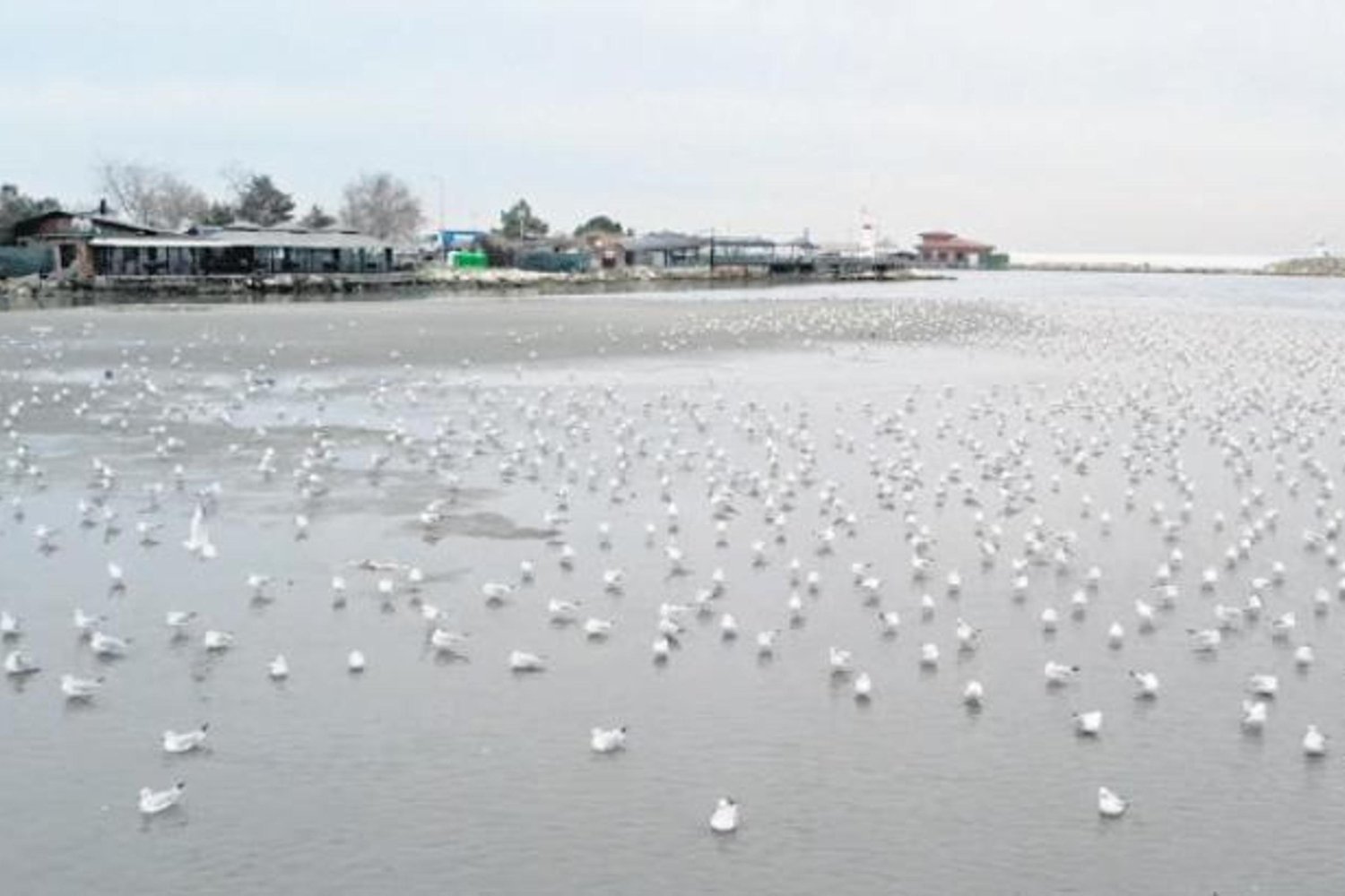 Denizlerde Mevsimsel Çekilmeler Gerçek ve Doğal Durum