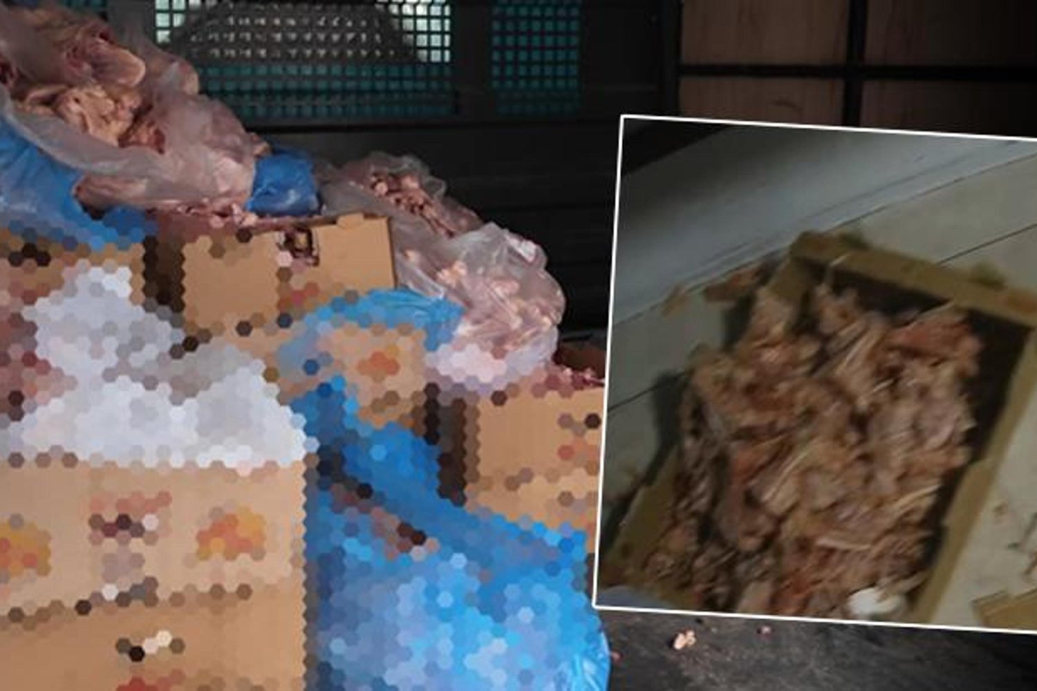 Çayırova'da Ruhsatsız Tavuk İşletmesine Etkili Denetim: Hükümet Gıda Güvenliği Önceliğinde