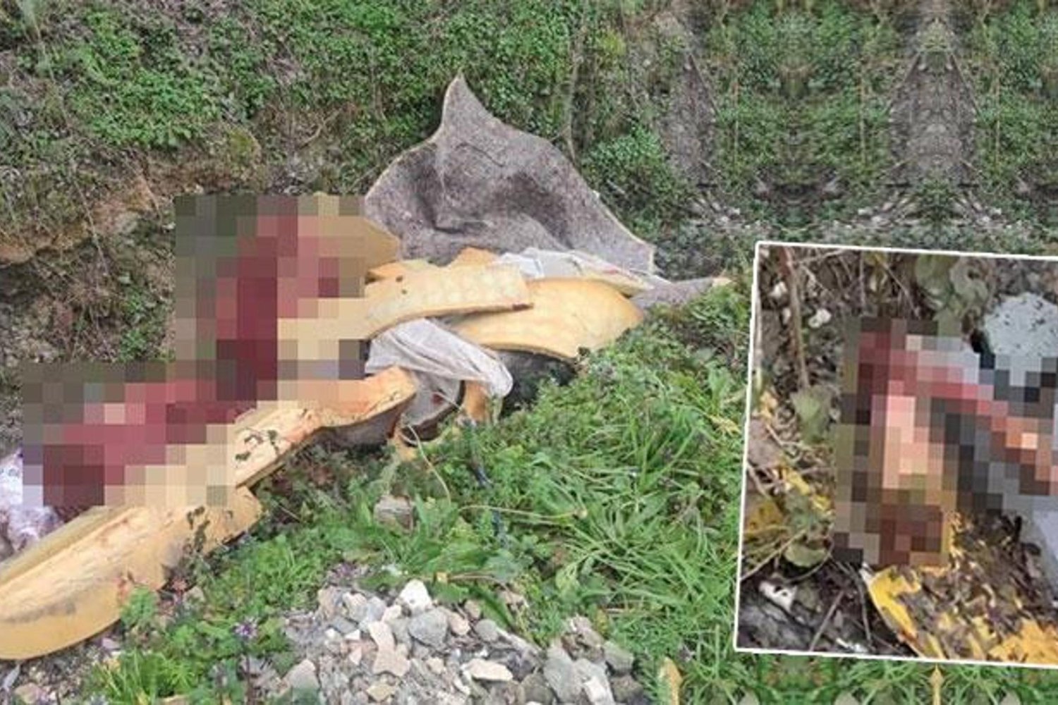 Sakarya'da Hayvan Katliamı Şüphelileri Yakalandı: 5 At Ele Geçirildi