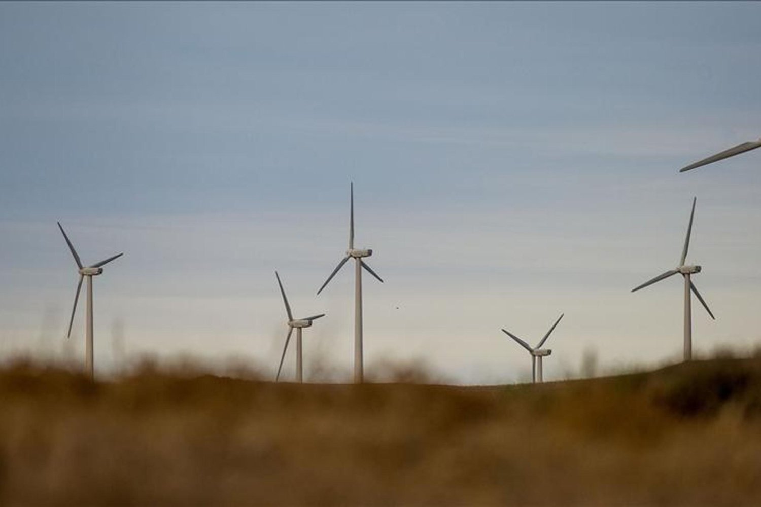 Yenilenebilir Enerji Rüzgar Gücüyle Güçleniyor: Türkiye 15 Bin MW'yi Aştı