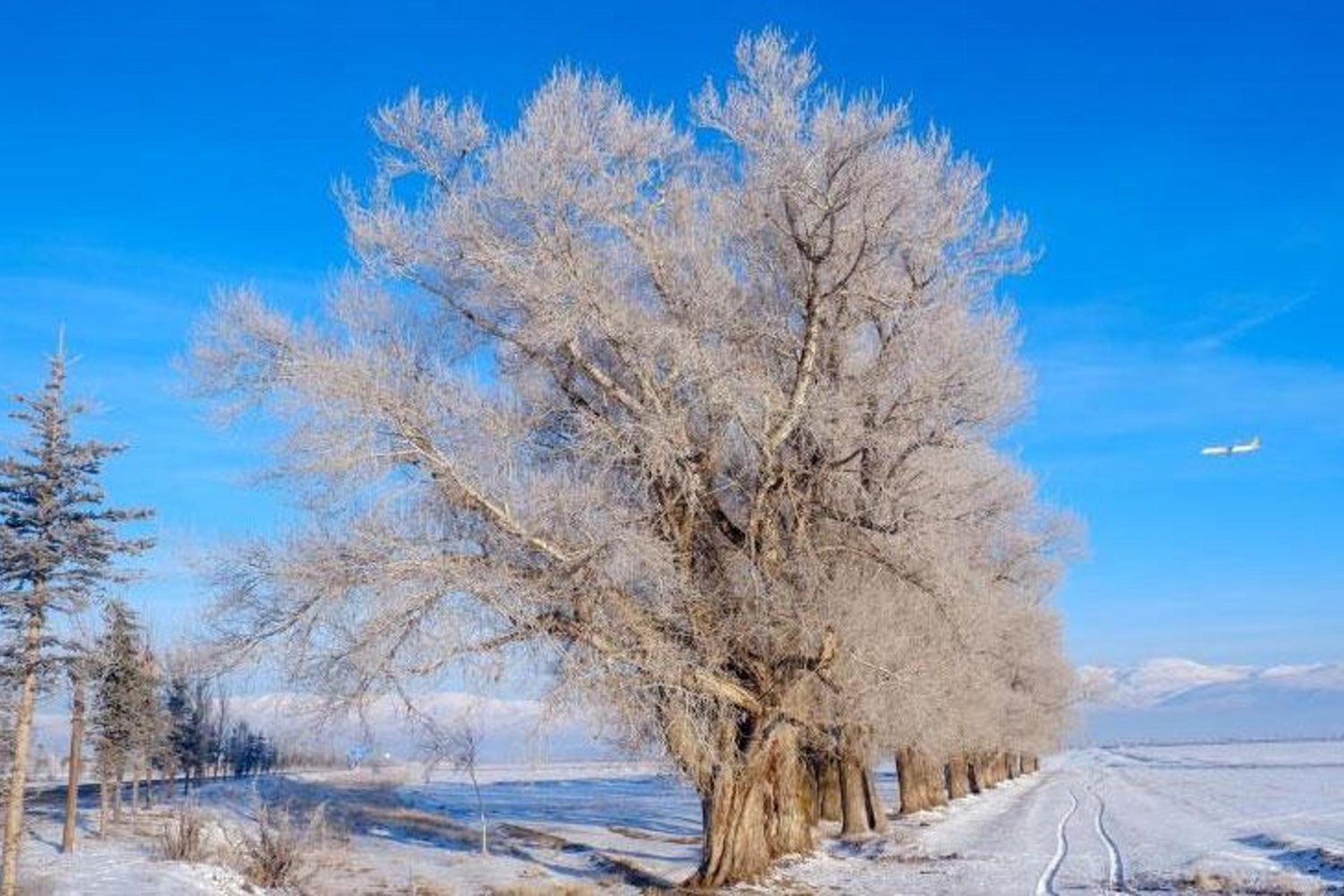 Kar ve buzlanma bölgeyi etkisi altına aldı! Yoğun kar ve aşırı soğuklar uyarıyor