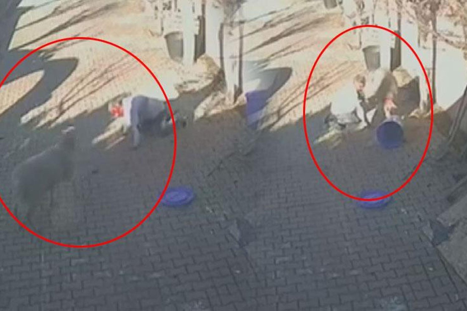 Başakşehir'de Koç Saldırısı Kanlı Olay Oldu: Fikret B. Ağır Yaralandı