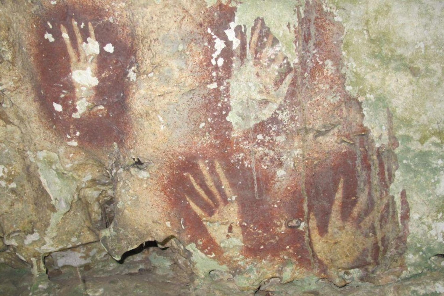 Dünyanın En Eski Mağara Sanatı Deneyimi Endonezya Muna Adası'nda Ortaya Çıktı