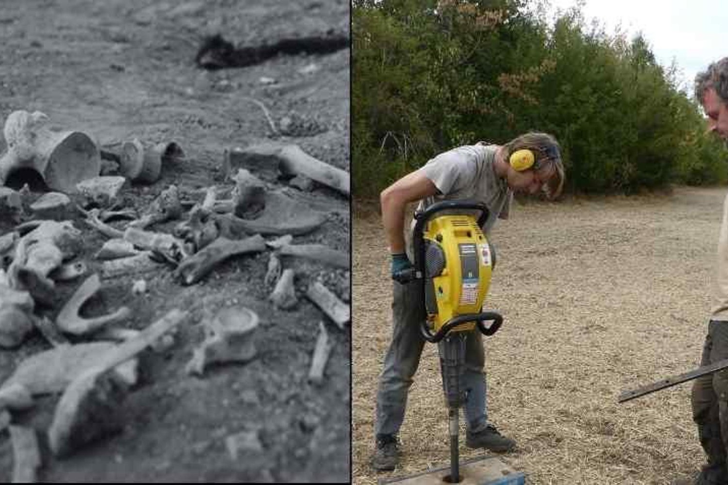 Tarihin En Korkutucu Salgını: Avrupa'daki İlk Toplu Veba Mezarı Keşfedildi