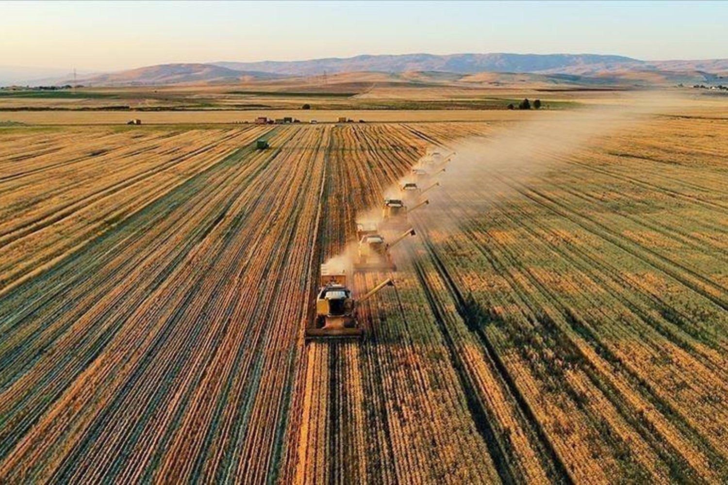 Tarım Yatırımlarında Rakamlar Büyüyor: 2026 Programı Hedefleri Açıklandı