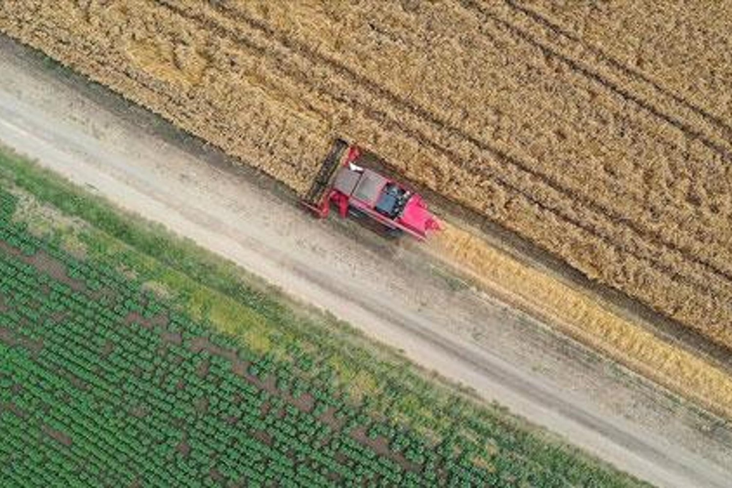 Tarım Destek Projeleri 2026 Son Tamamlanma Tarihi Belli Oldu