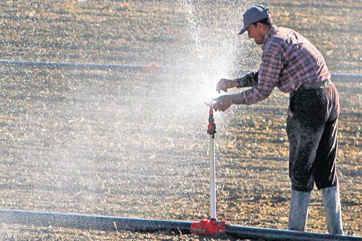Kuraklık ve Girdi Maliyetleri Hububat Üretimini Nasıl Etkiliyor?