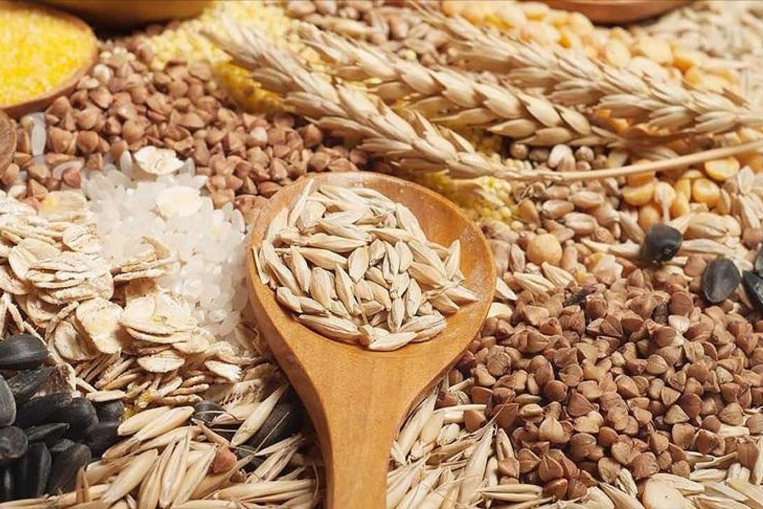 Trakya’nın ihracatı 2025’te rekor kırdı: Tekirdağ, Kırklareli ve Edirne öne çıktı