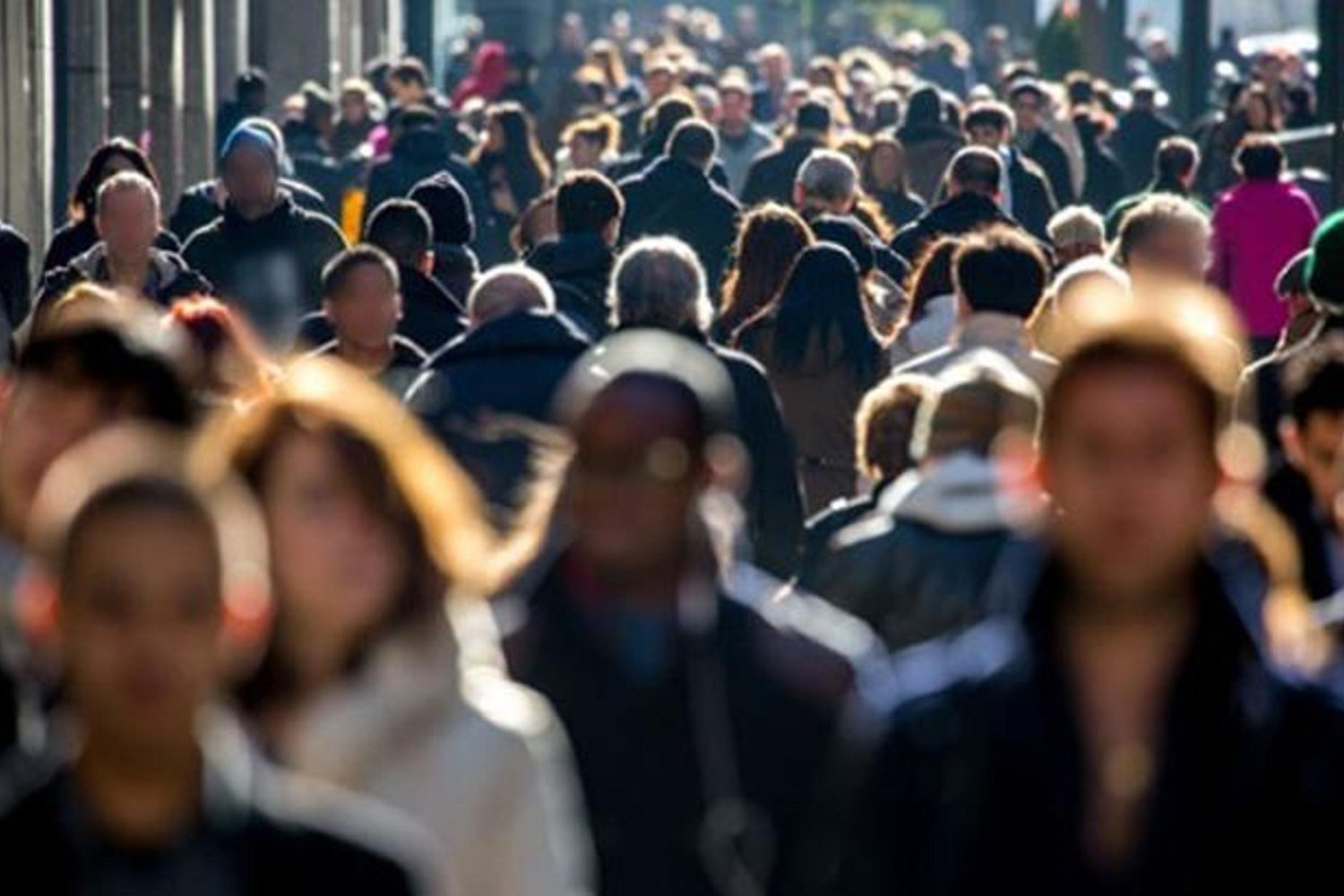 İşsizlikte Düşüş ve İşgücü Verilerinde Güncel Durum