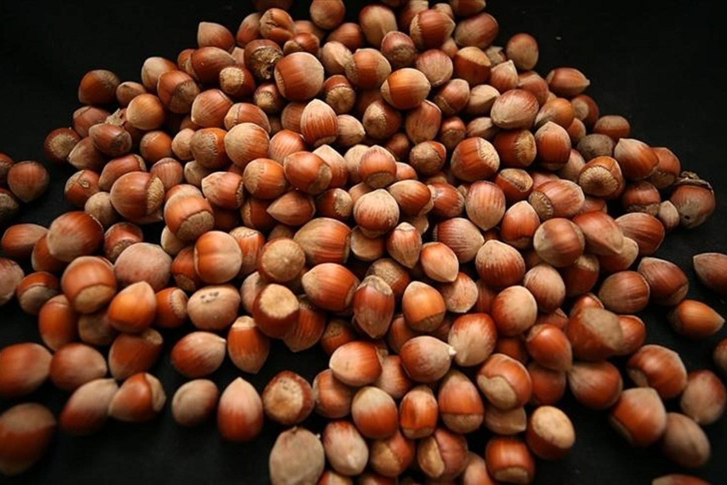 Türk Fındığı Dünya Pazarında Büyüyor: 2,2 Milyar Dolarlık İhracatla Yeni Rekorlar