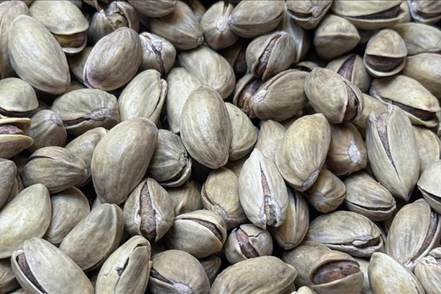 Antep Fıstığı İhracatında Rekor Artış ve Üretimde Umut Verici Gelişmeler