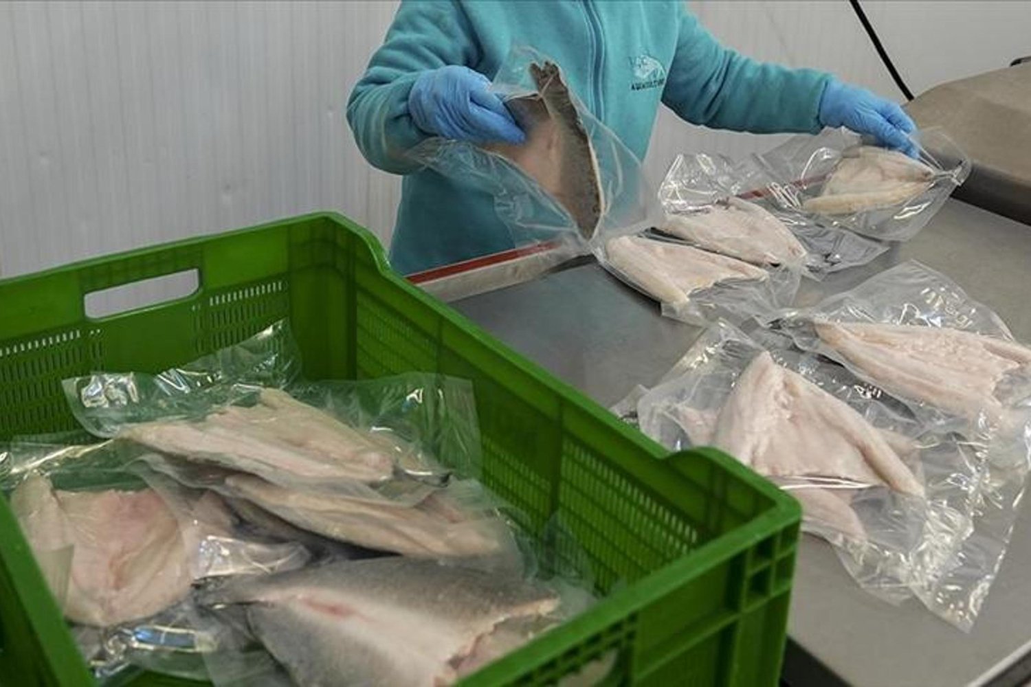 Türk Su Ürünleri ve Hayvansal Mamuller Sektörü 2025 Hedefiyle Büyüyor