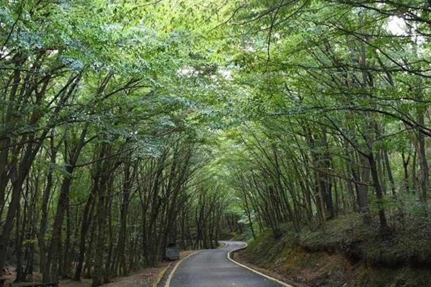 İstanbul'un Yeni Mega Projesi Yatırımcıları Heyecanlandırıyor! İşte Değere Değer Katacak Bölgeler