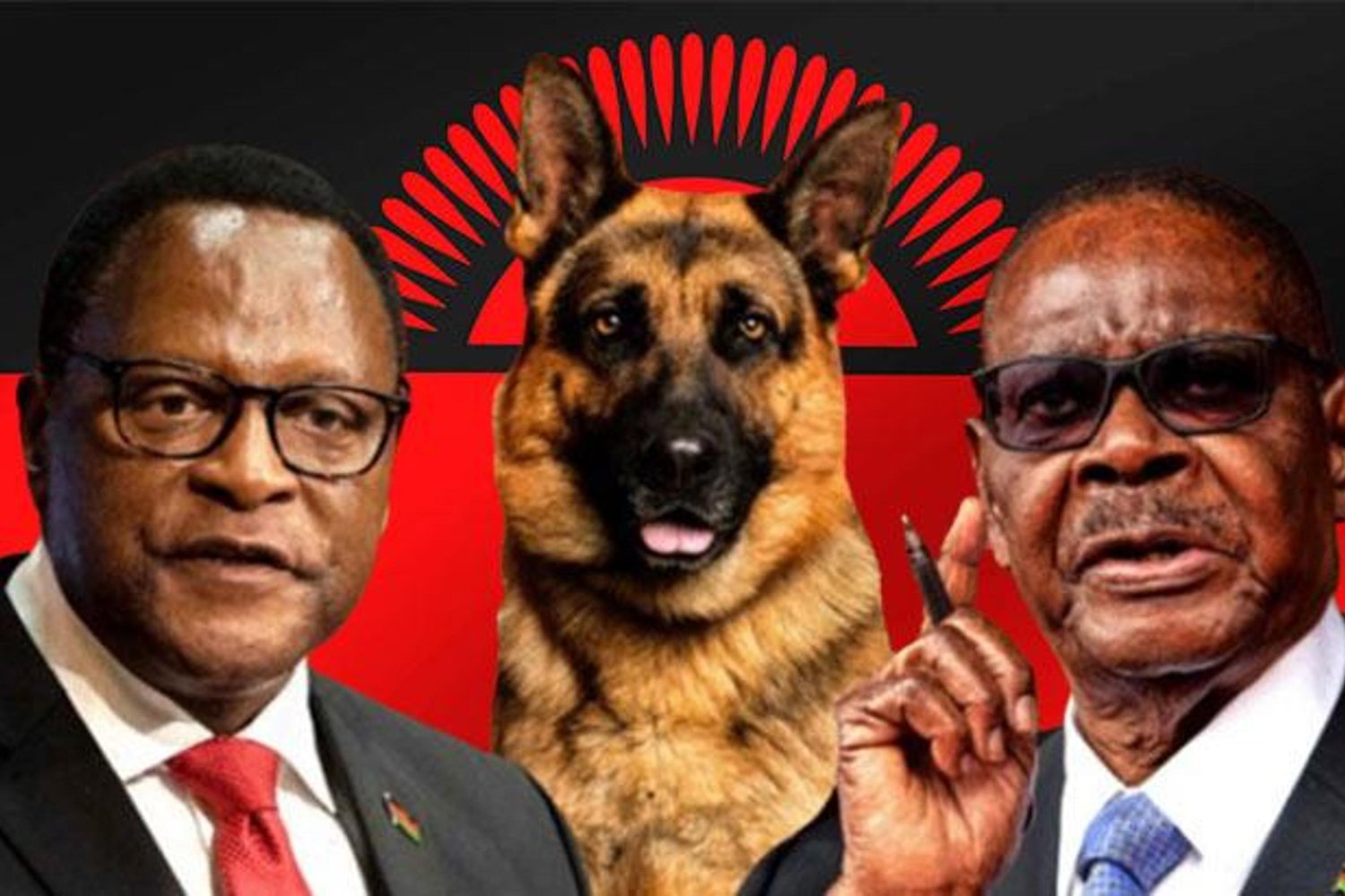 Malawi'de Köpek Krizi: Eski ve Yeni Cumhurbaşkanları Arasında Güvenlik Çekişmesi