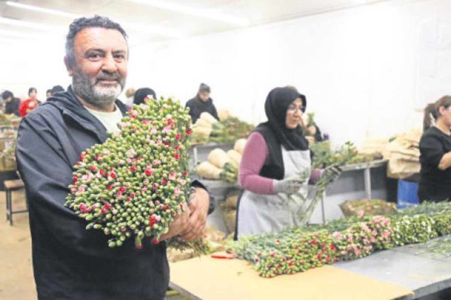 Sevgililer Günü’nde Kırmızı Karanfil Rüzgarı Esti: 10 Milyon Dolarlık Çiçek Sevkiyatı
