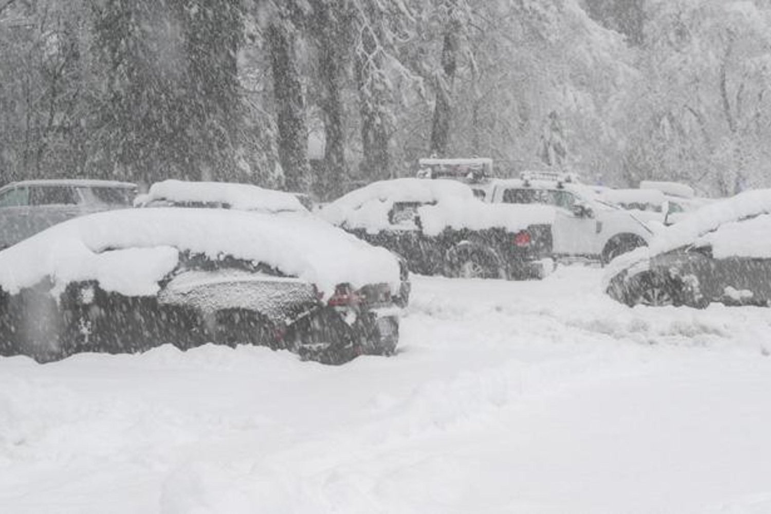 Kuzeydoğu Kar Fırtınası: Uyarılar ve Uçuş İptalleri Artıyor