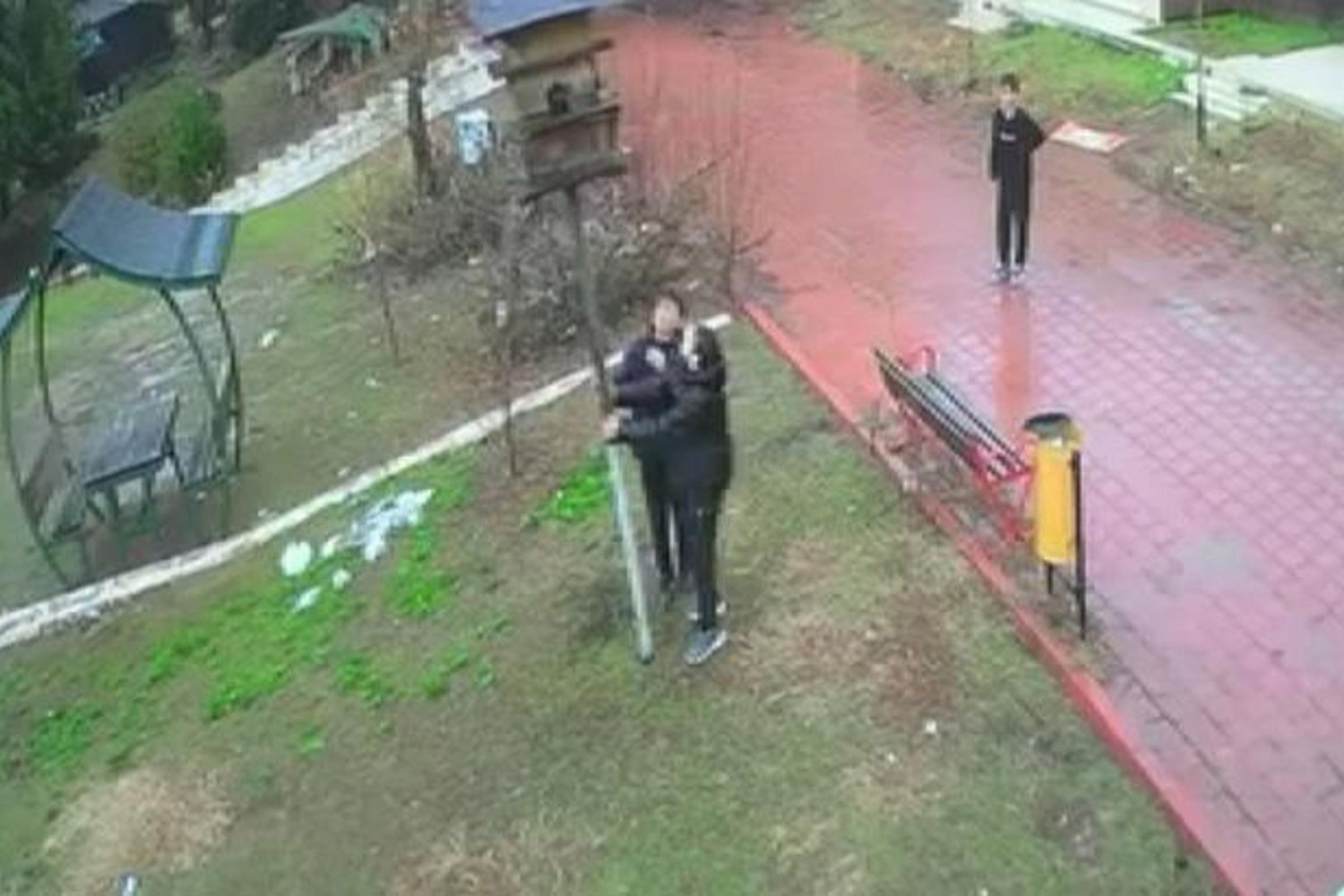 Çocukların Dinozor Parkı Olayı Güvenlik Kamerasında: Yuvayı Düşürüp Kuşlara Zarar Verdiler