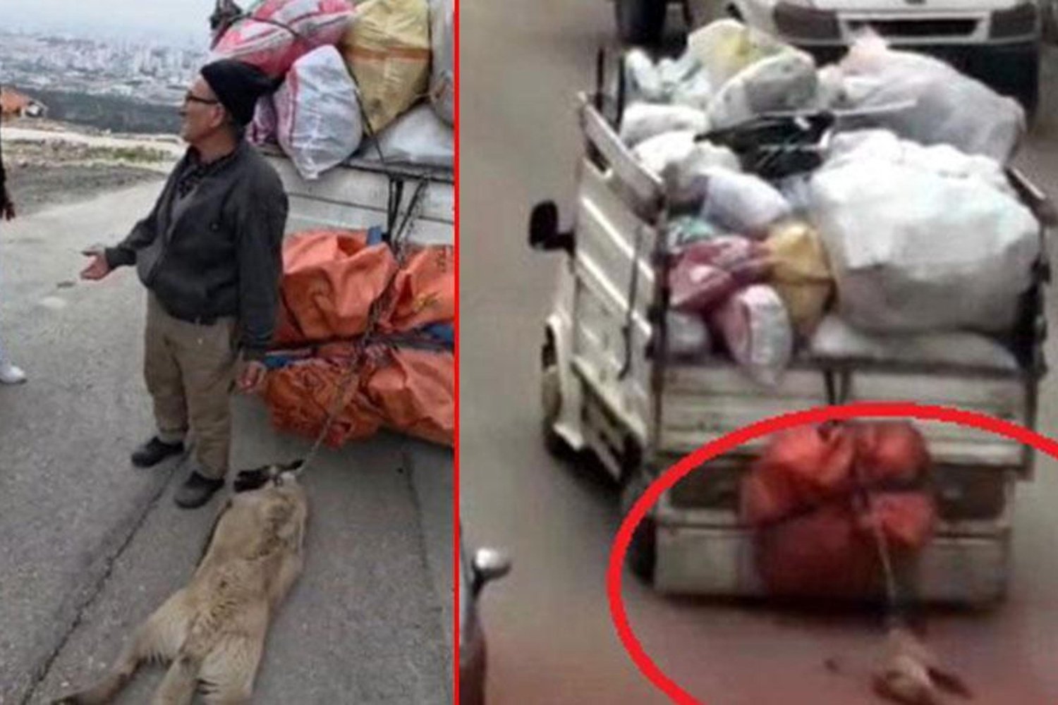 Köpek Sürüklenme Olayı Şoke Etti: Çevredekiler Kurtardı!