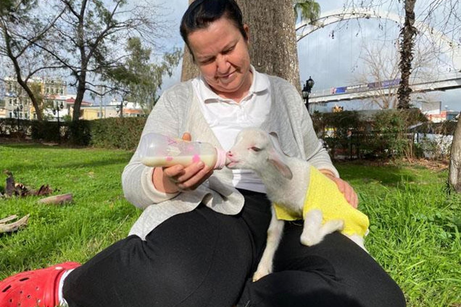 Antalya'da Kuzuyu Bebek Gibi Büyüten Meliha Erten'in Hikayesi