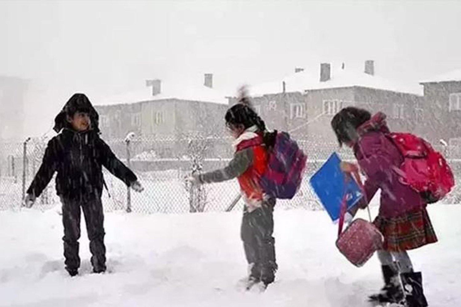 Acil: Ardahan'da Okullar Tatil Edildi, Posof Hariç Bütün İl Etkilendi