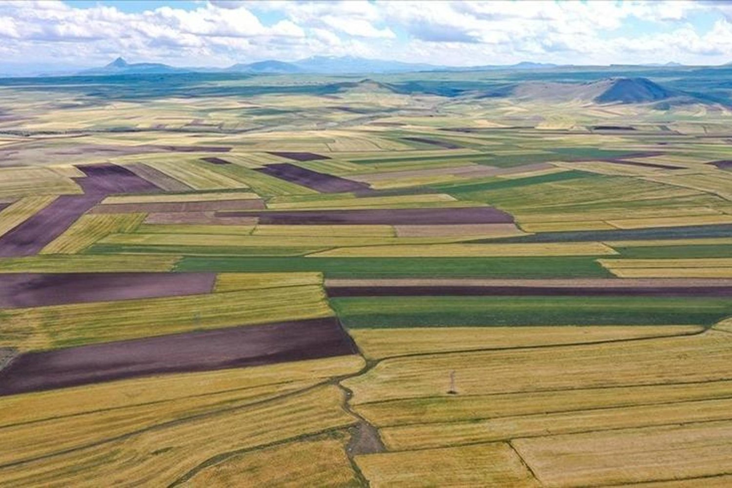 Gayrimenkulde 2025 Atakları: Konut ve Arsa Satışları İvme Kazandı