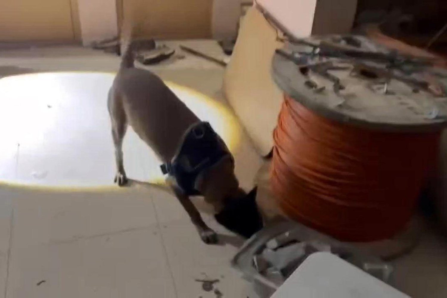 Uyuşturucu Operasyonu: 50 Kilo Metamfetamin Ele Geçirildi